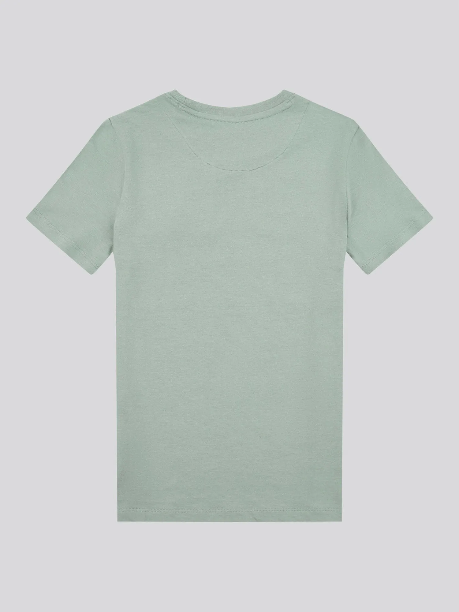 Boys Signature Arch T-Shirt in Chinois Green