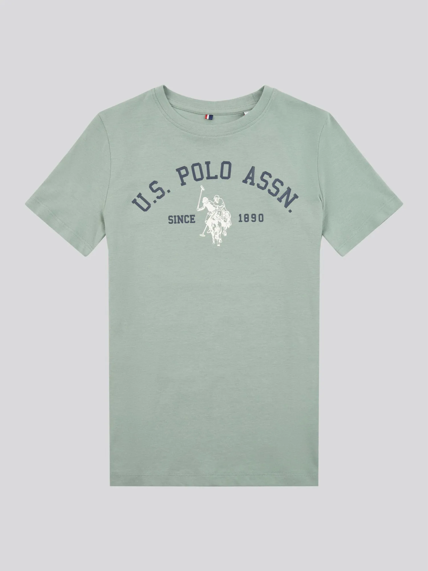 Boys Signature Arch T-Shirt in Chinois Green