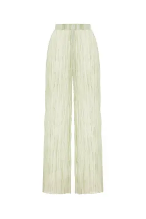 Wrinkle Pleated Trousers